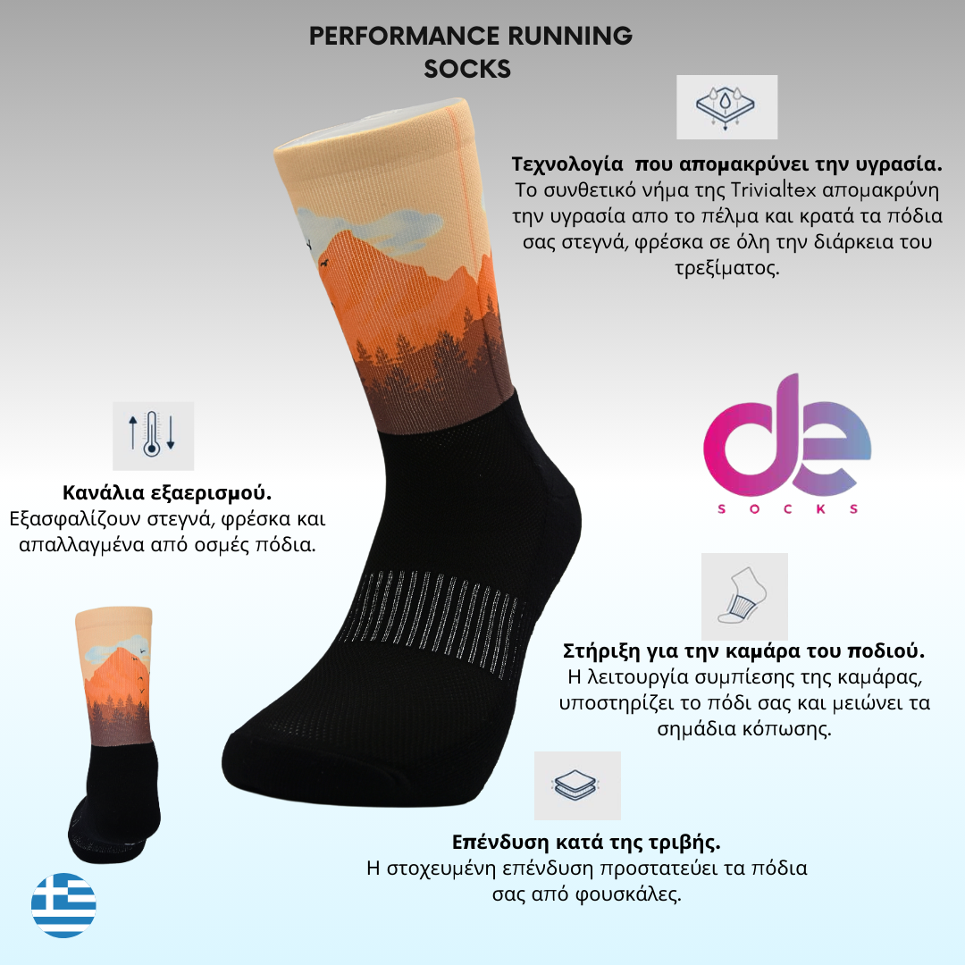 desocks High Performance Cushion Κάλτσες  1.6